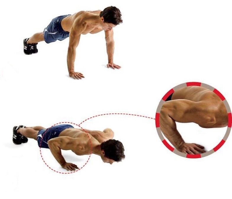 Push-ups from the floor promote strong arm and chest muscles